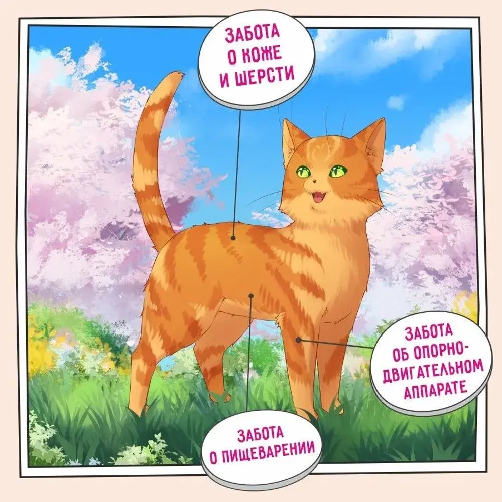 Сухой корм для кошек ZILLII (Зилли) Cat Skin & Coat Carel 10кг индейка и ягненок сухой для кошек, здоровье кожи и шерсти