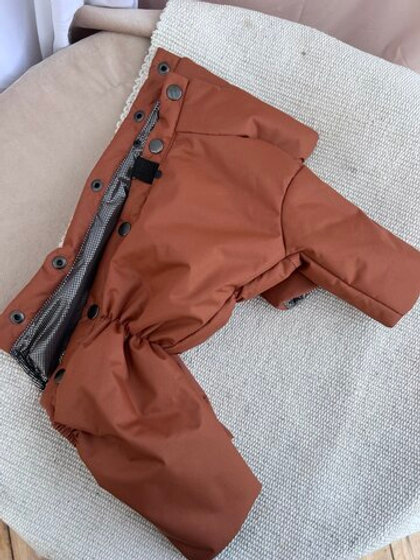 Демисезонный комбинезон для собак с длинными лапами (мальчик)