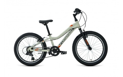 Детский велосипед Forward TWISTER 20 1.0 (2021)