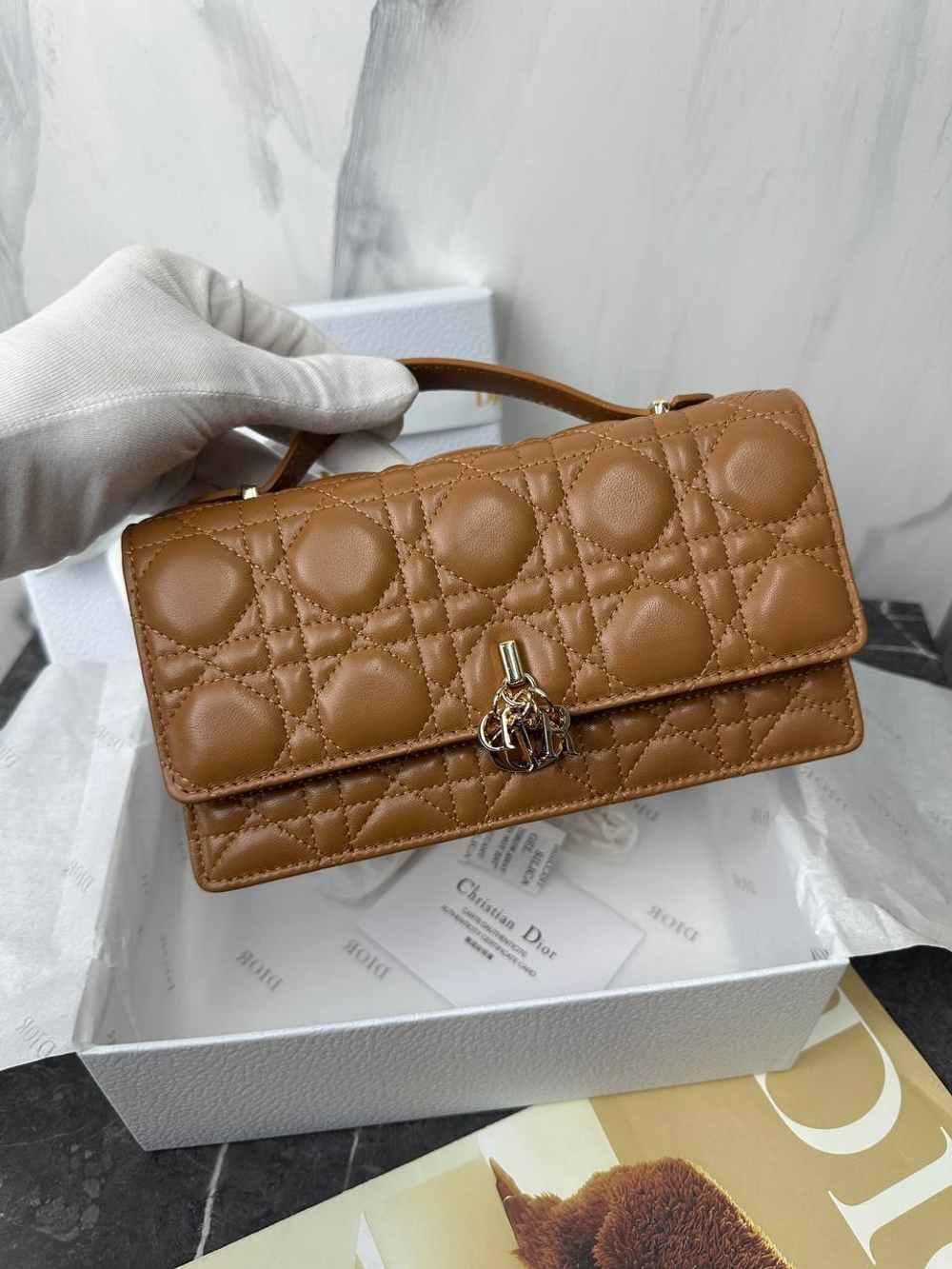 Сумка Christian Dior