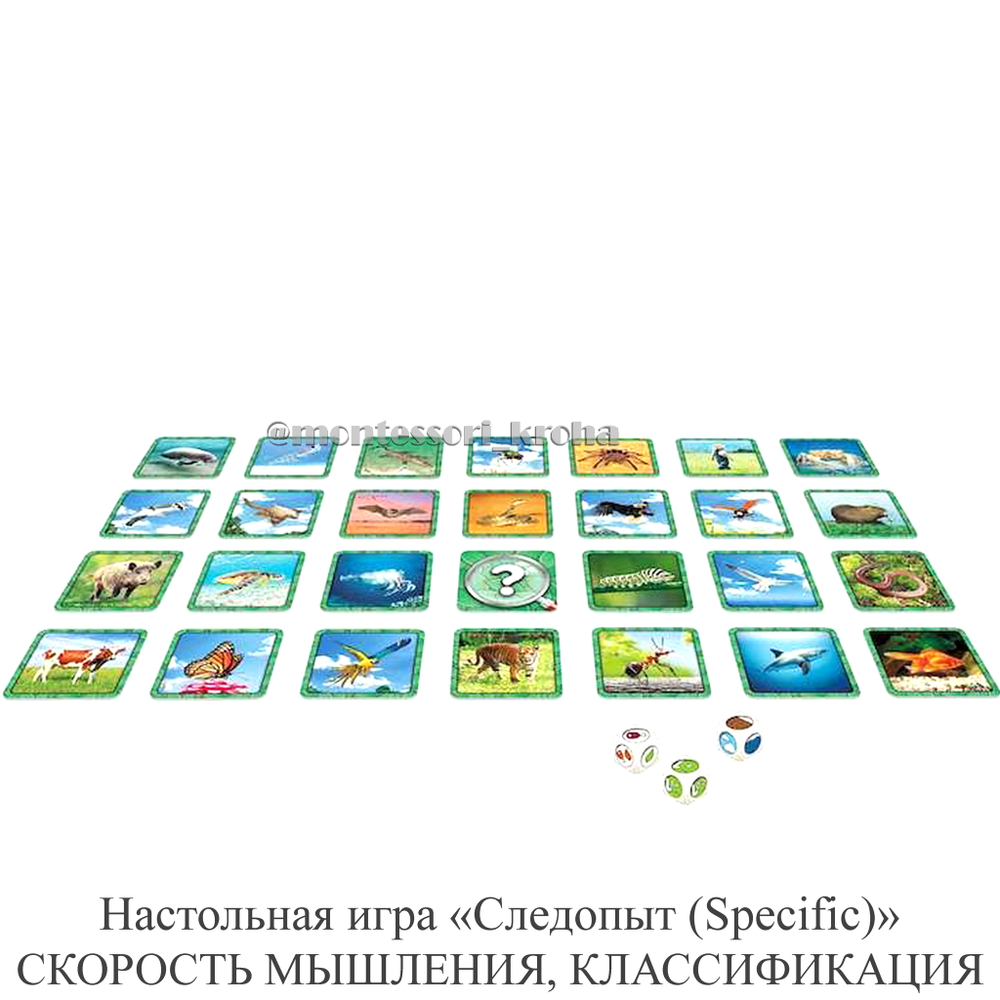 Настольная игра «Следопыт (Specific)» СКОРОСТЬ МЫШЛЕНИЯ, КЛАССИФИКАЦИЯ