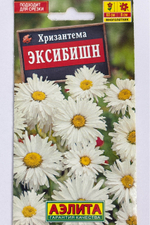 Хризантема Эксибишн СМЦ-337