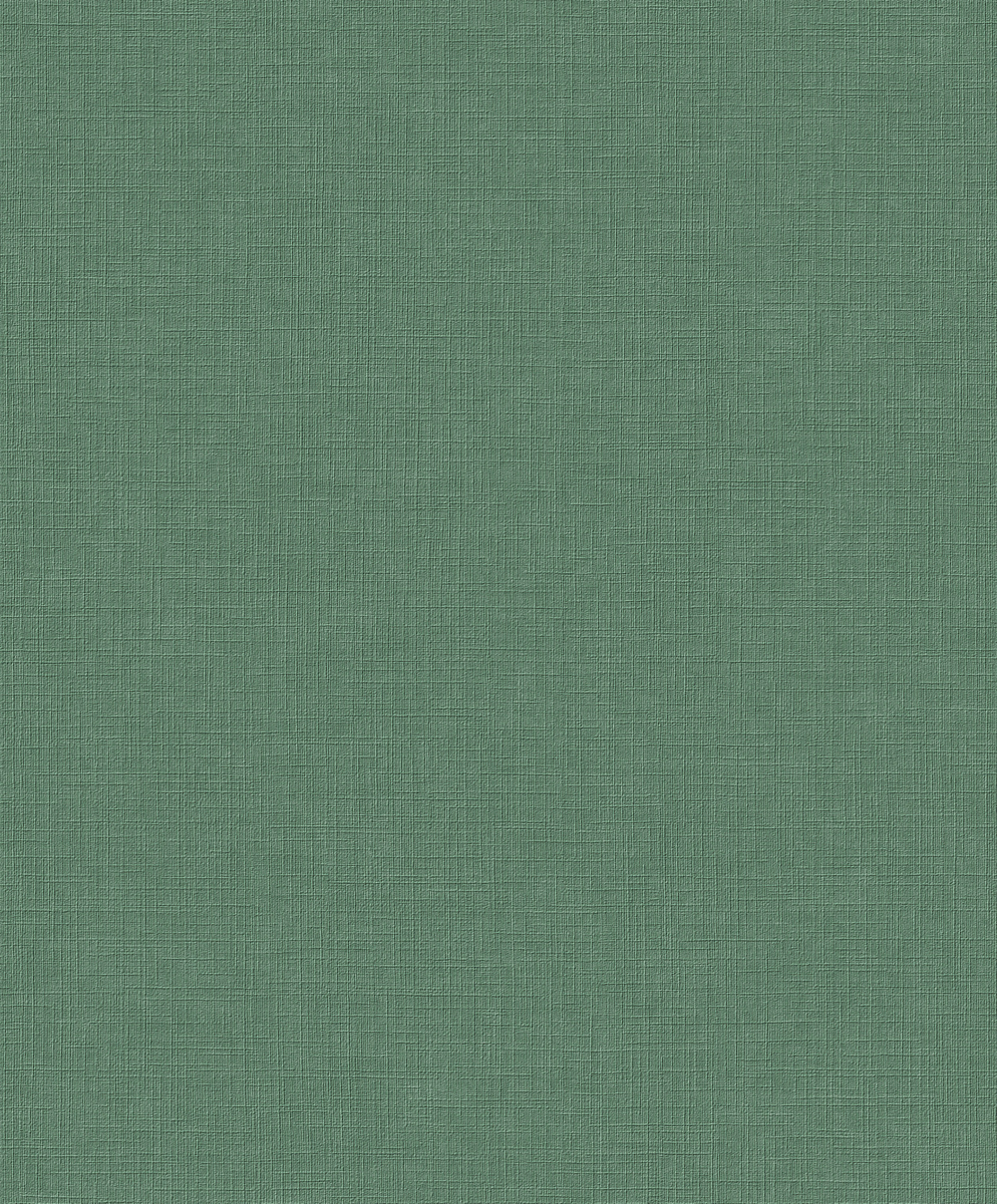 A 71009 Винил на флизе 0,53х10,05 (1*12)