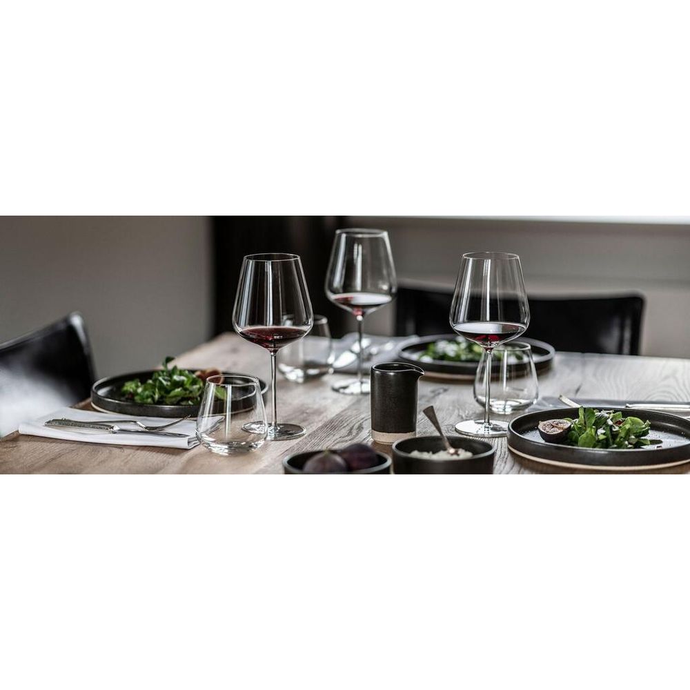 Стакан Хайбол 485 мл хр. стекло VerVino (Verbelle) d 8,7 см h11,5 см Schott Zwiesel [6]