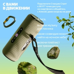 Яндекс Станция Стрит с Алисой