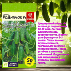 Лучшие сорта огурцов с прекрасными вкусовыми качествами