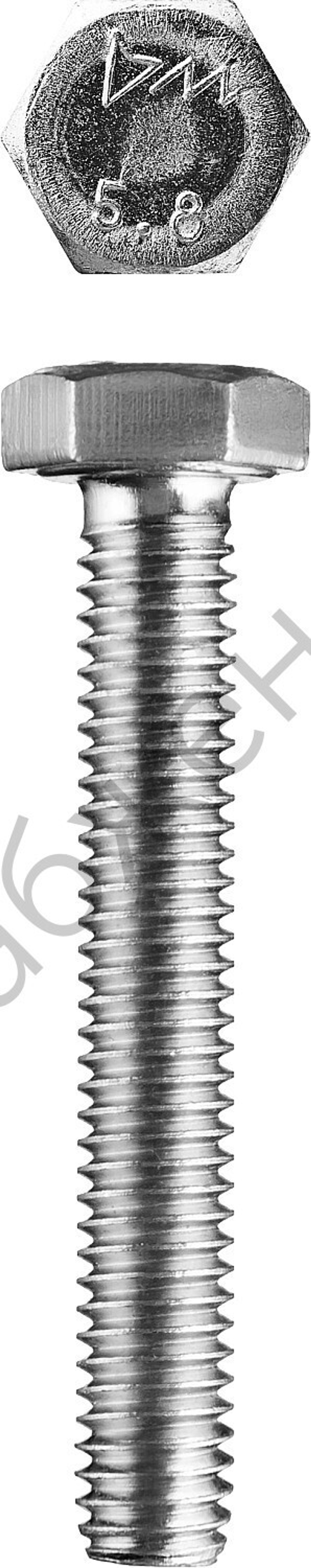 ЗУБР ГОСТ 7798-70 кл. пр. 5.8, M20 x 160 мм, болт оцинкованный, 5 кг (303080-20-160)