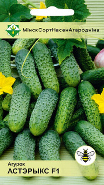 Огурец "Астерикс F1" 10шт, Нидерланды.