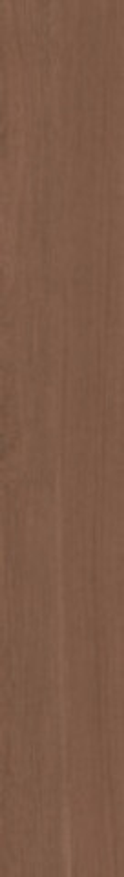 Керамогранит Lignum-R Bold R10