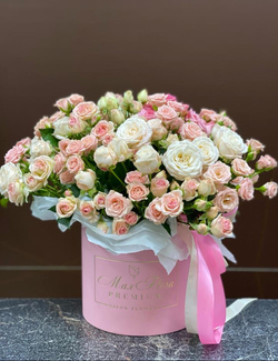 Приятная встреча ШК-345