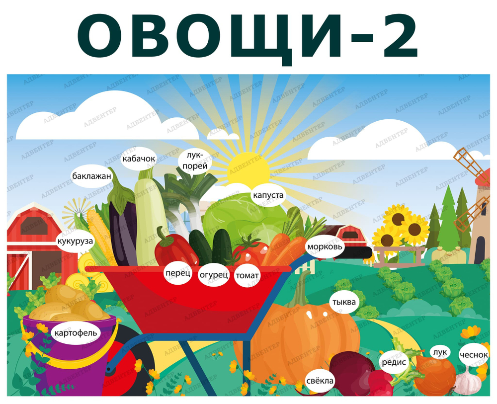 Комплект развивающий Ферма: Фрукты. Продукты-2. Овощи-2, 2165