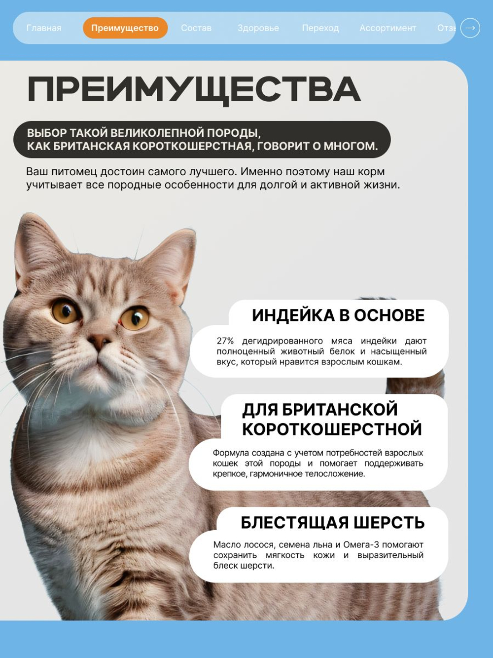 Корм сухой для кошек породы Британская короткошерстная, с индейкой, 2 кг, QUATTRO