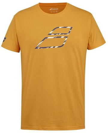 Мужская теннисная футболка Babolat Performance Big Flag Tee Men - осенняя слава