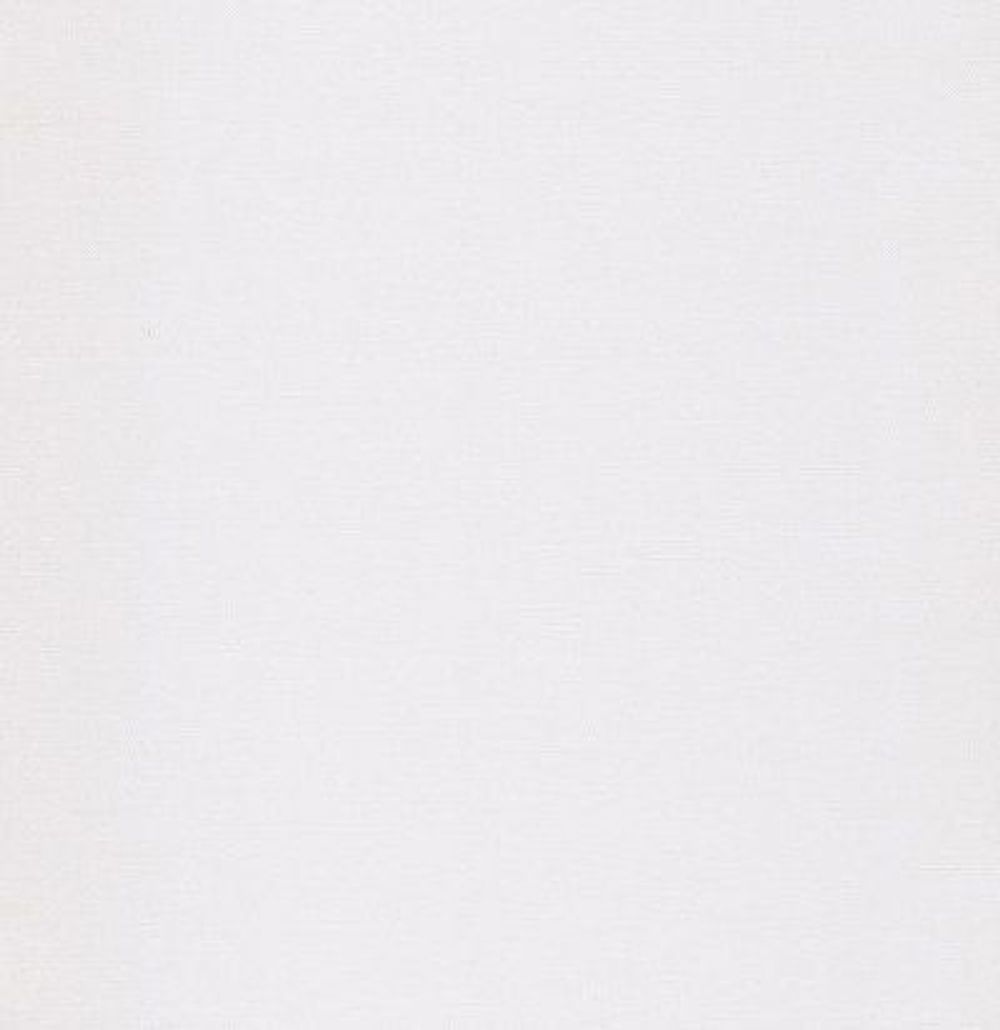 обои рельефные белые WIL701