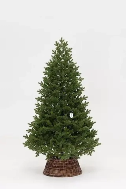 Искусственная елка Измайловская 300 см., 100% литая хвоя, 2800 мульти LED ламп, 10 режимов, ЕлкиТорг (57300)