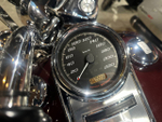 Harley-Davidson Road King, 2021