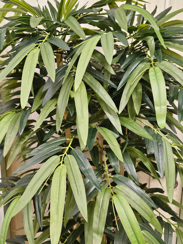 Дерево Бамбук 150см в кашпо