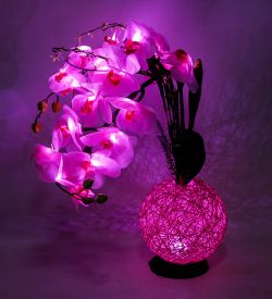 LP-13 Орхидея бол. с LED-подсветкой
