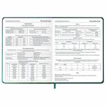 Дневник 1-11 класс 48 л., кожзам (твердая с поролоном), печать, резинка, конверт, BRAUBERG, "Мечты", 106949