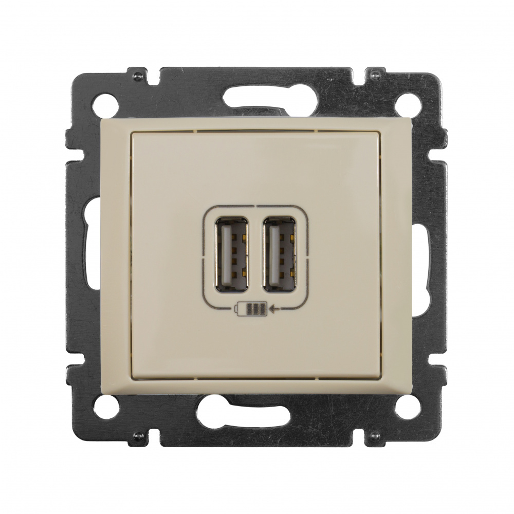 Зарядное устройство  Legrand 774170
