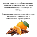 Апельсин и Корица, кубики восковые для ароматизации, 10 штук