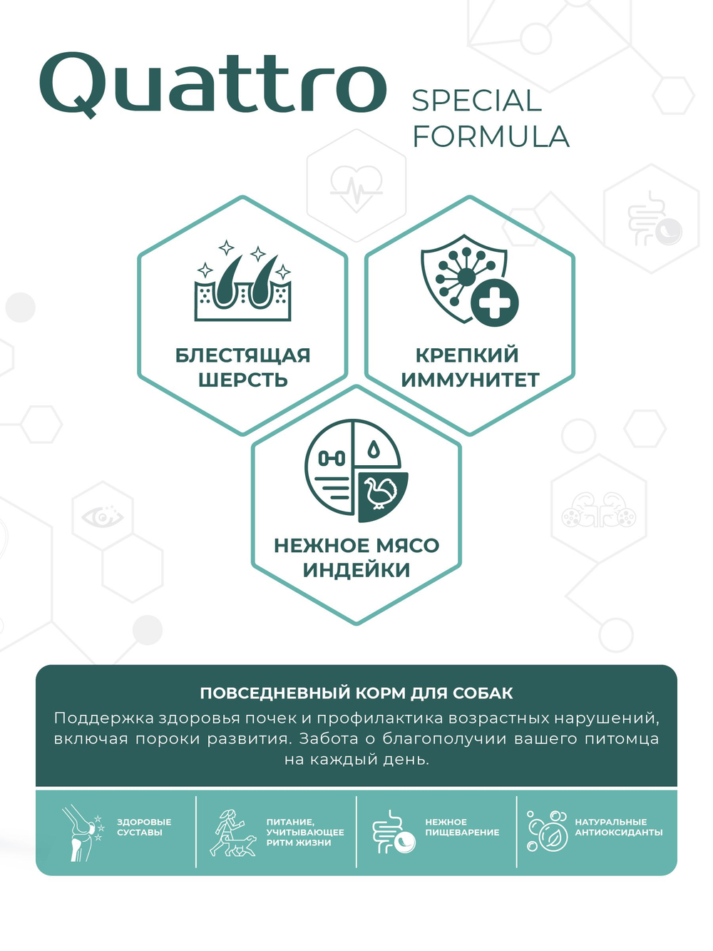 Корм для собак средних и крупных пород SF Renal Develop, (пороки развития почек), 12 кг, QUATTRO