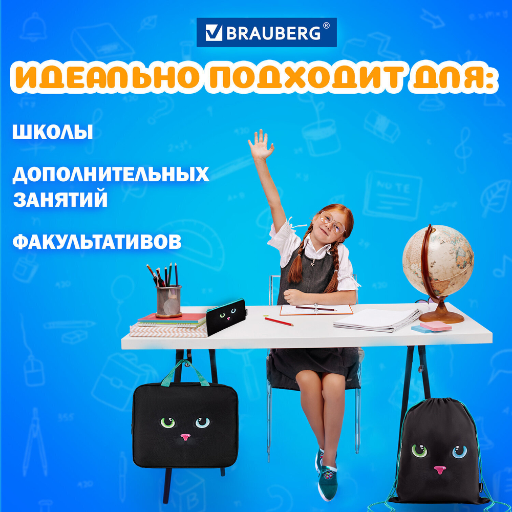 Папка на молнии с ручками А4 мешок для обуви 42х33 см пенал 20х10 см "Black cat" набор BRAUBERG