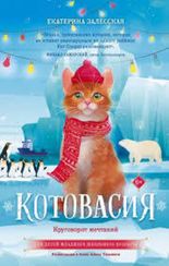 Котовасия. Круговорот мечтаний