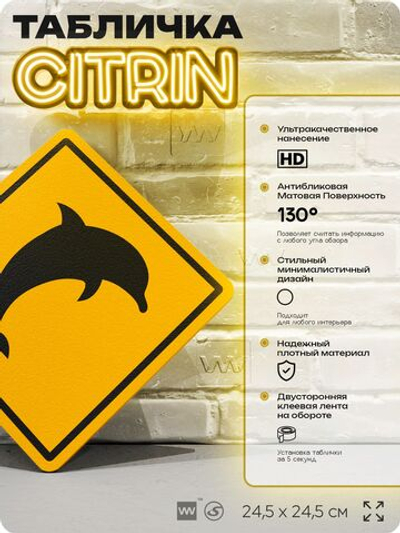 Табличка прикольная "Осторожно, дельфины" на дверь и стену, информационная и предупреждающая, декоративный знак, 24,5х24,5 см, пластиковая, Айдентика Технолоджи