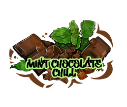 B3 - Mint Chocolate Chill (250г)