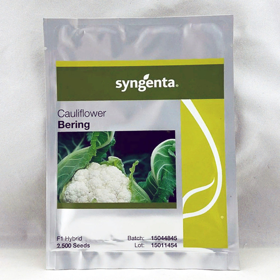 БЕРИНГ F1 семена капусты цветной (Syngenta | Alexagro) – фото 2