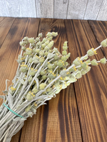 Лимонник крымский - Чабан трава