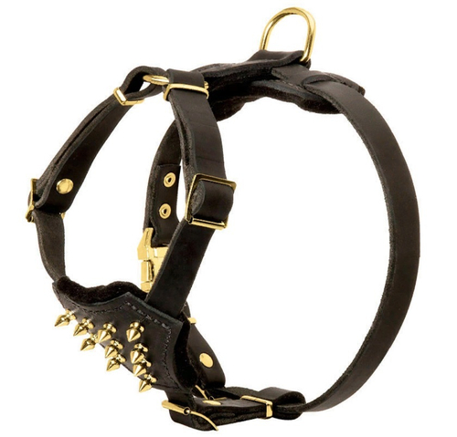 Шлейка кожаная с латунными шипами  для малых собак чёрная  размер S H23##006