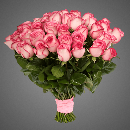 Букет из 35 роз Эквадор с лентой