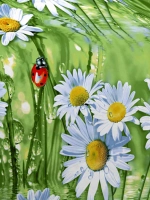 Постельное белье 1.5 спальное 100% хлопок