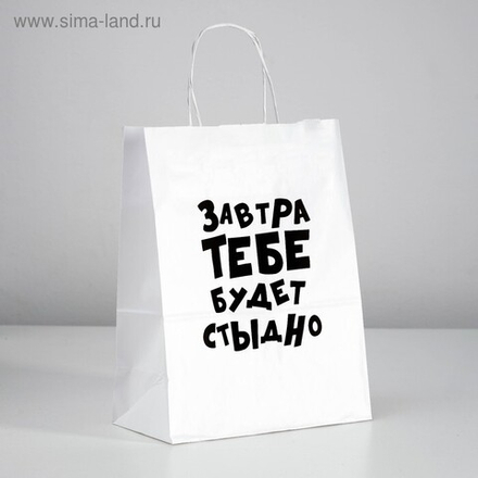 Пакет подарочный «Завтра тебе будет стыдно», 24 х 10,5 х 32 см, 1 шт