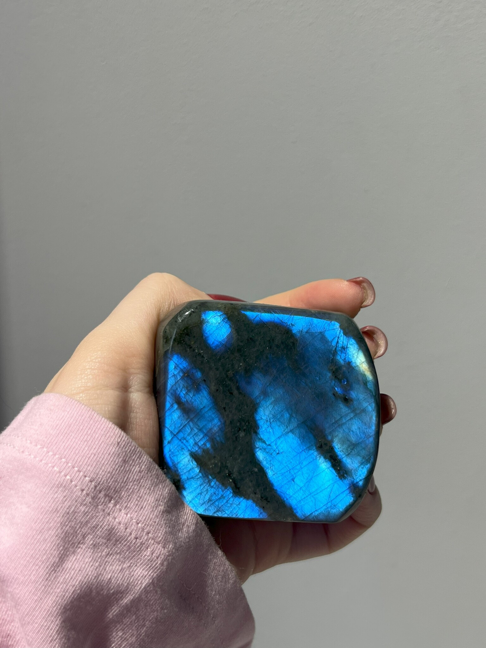 Срез Лабрадора S