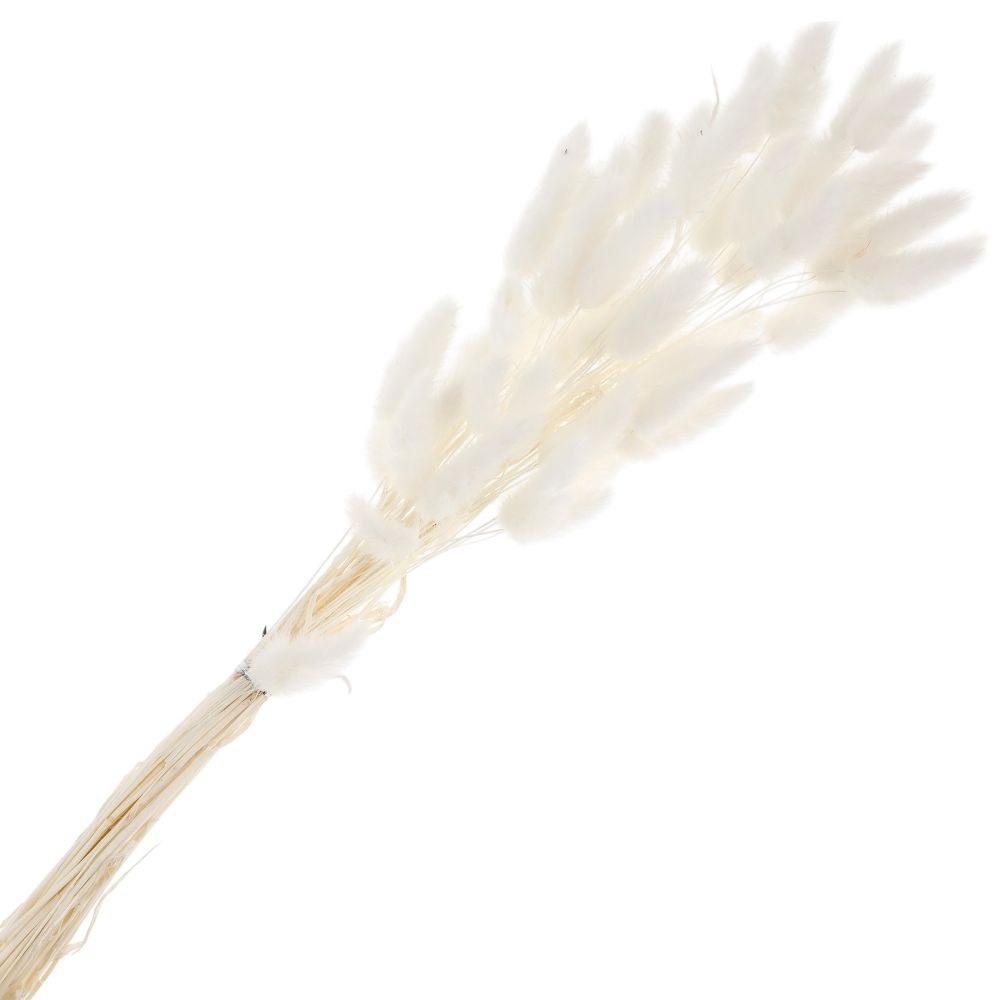 Сухоцветы ЛАГУРУС 65см 34гр БЕЛЫЙ