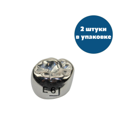 Второй верхний правый моляр, размер 6 (E-UR-6)