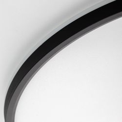 Citilux NORMA CL749501 LED RGB Светильник с пультом Чёрный