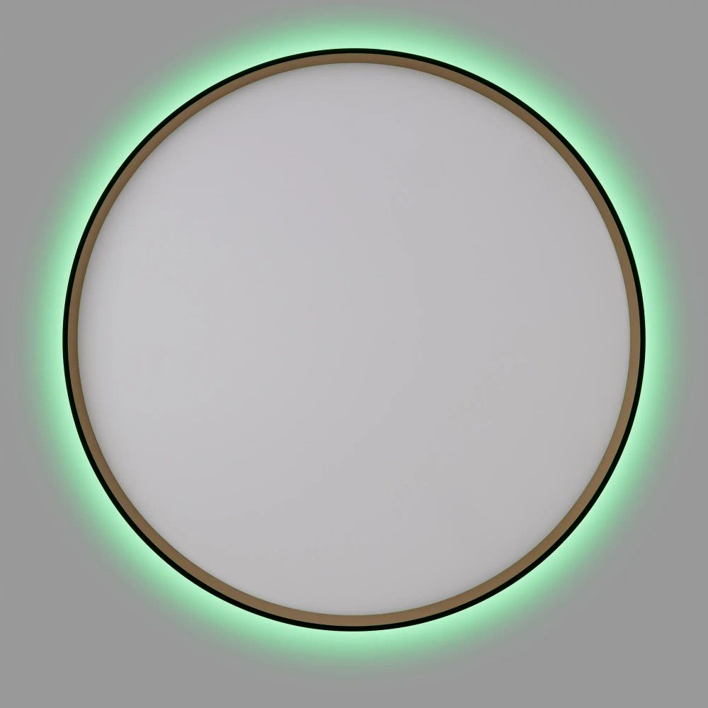 Citilux ETALON CL750501R LED RGB Светильник с пультом Чёрный+Золото