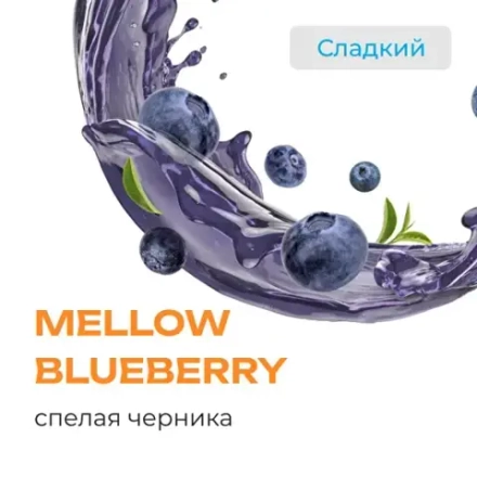 ELEMENT EARTH - MELLOW BLUEBERRY 200g