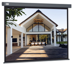 Экран  Cactus CS-PSW-206X274-SG