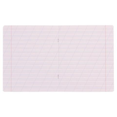 Тетрадь школьная А5 12л косая линия,ассорт "Классика Visio" (Полиграфика) микс цветов (комплект 5 шт)