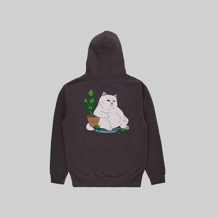 Толстовка мужская Ripndip Flower Boy Hoodie артикул:RND10080 - купить в магазине Дайс