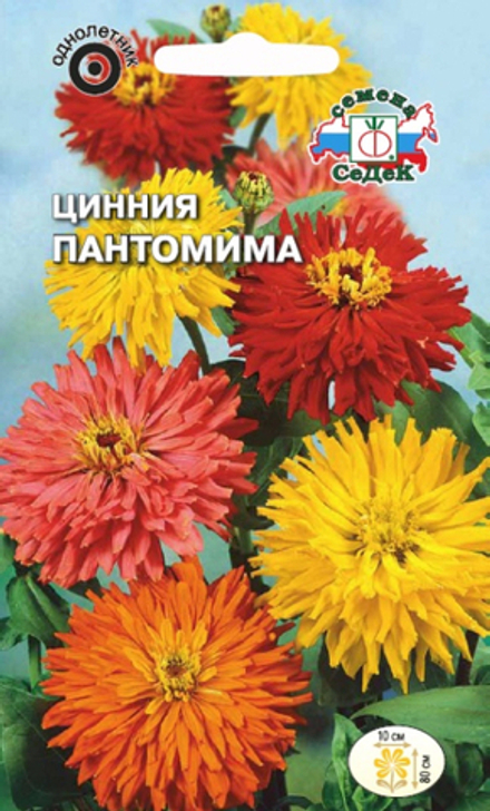 Цинния Пантомима