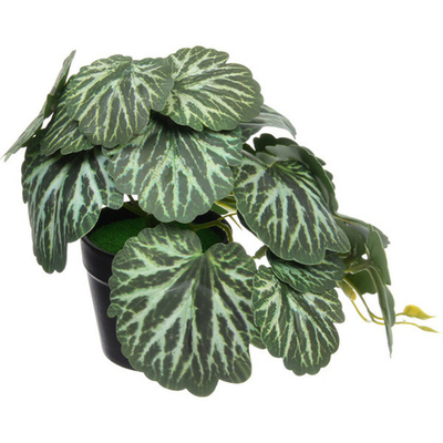 Цветок искусственный в горшке «Бегония» 20*16см