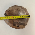 Набор из окаменелого дерева 4 предм Fossil Set NF-63292 поднос 149