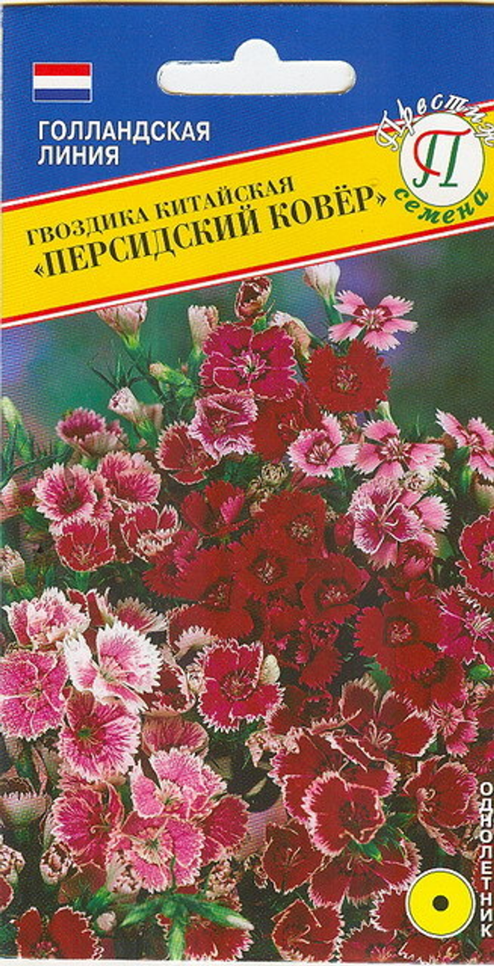 Гвоздика китайская Персидский ковер Престиж