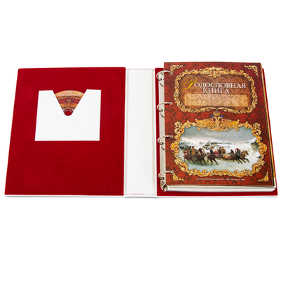 Родословная книга "Свадебная" кож. зам. (подар. упак)